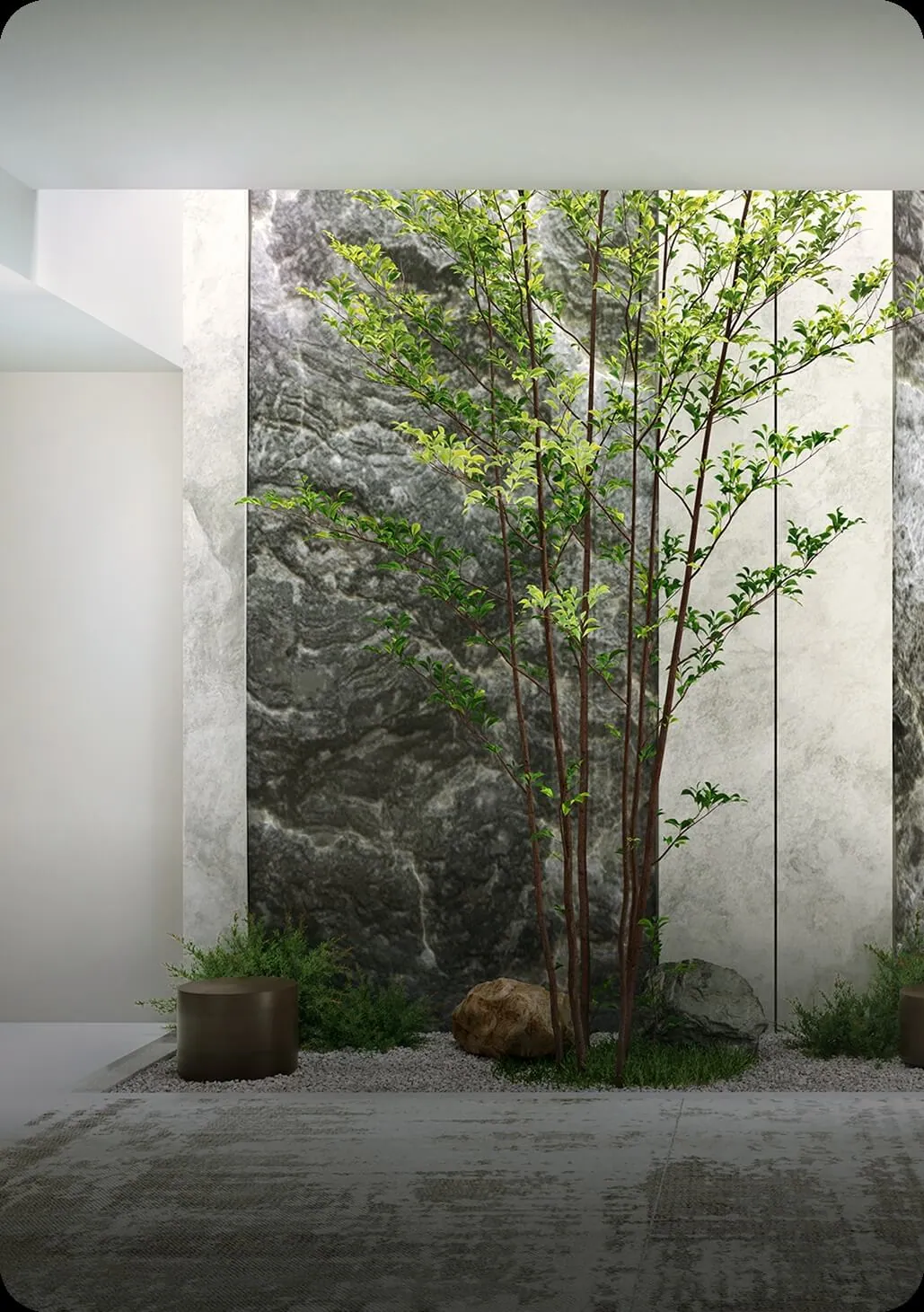 A Lush Green Sanctuary